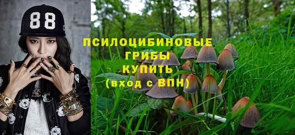мдпв Волосово