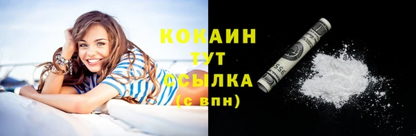 индика Протвино