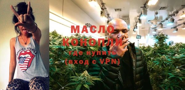 индика Протвино