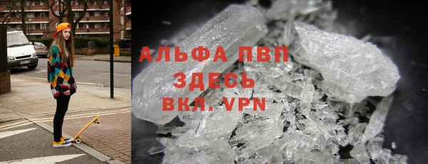 индика Протвино