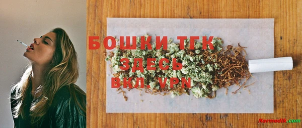 индика Протвино