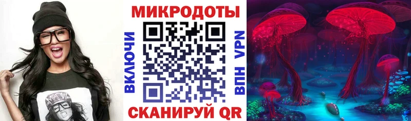 Галлюциногенные грибы прущие грибы  купить закладку  MEGA маркетплейс  Вязники 